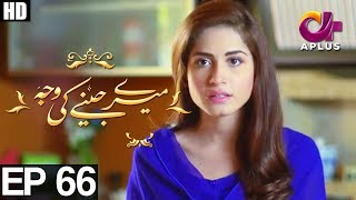 Meray Jeenay Ki Wajah  EP 66  Aplus  Bilal Qureshi Hiba Ali Faria Sheikh  C4I1 [upl. by Enyad804]