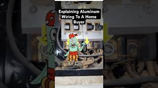 Explaining Aluminum Wiring To A Home Buyer funny meme realestate utah aluminum [upl. by Siramad]