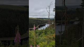 Walk up Turton Heights above Turton amp Entwistle Reservoir [upl. by Mariko]