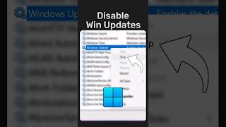 STOP Windows Auto Updates [upl. by Fleeman]