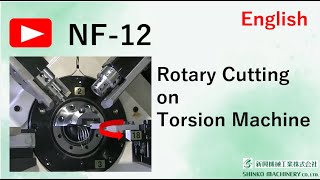 NF12 Rotary Cutting on Torsion Machine [upl. by Oznole734]