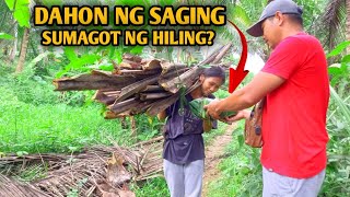 DALAGA SA GUBAT NAGULAT SA LAMAN NG DAHON NG SAGING [upl. by Calabrese305]