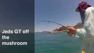 Fishing Hinchinbrook island  GTs off Goold Island [upl. by Gagliano]