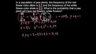 How to solve population genetics problems [upl. by Yorled]