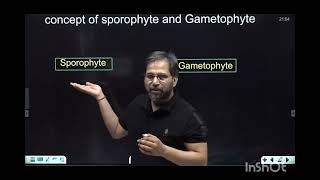 what is sporophyte and gametophyte animationsankalpbharat [upl. by Eisak]