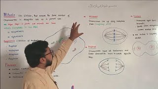 Mitosis  Prophase  Metaphase  Anaphase  Telophase  FScBiology [upl. by Nya]