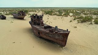 Regreening Uzbekistans desertified Aral Sea region [upl. by Senecal538]