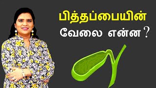 Gallbladder Explained in Tamil [upl. by Athelstan]