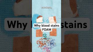 Why Does Blood Foam stainremoval science STEM [upl. by Uriel]