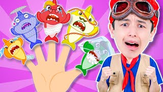 Shark Finger Family Boo Boo Song 🖐🦈😭 Rescue Baby Shark Song ✨ More Kids Songs ✨ Mimie SingAlong [upl. by Hairabez]