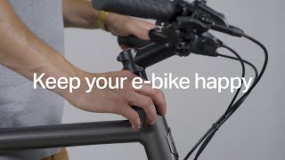 Bike checks amp care — Basic bike maintenance  Ampler EBike Tips [upl. by Eirellav522]