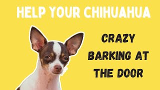 STOP Your Chihuahua from Barking at the Door for Good [upl. by Hashum437]