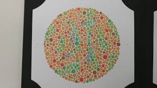 Video 6 The Ishihara Test for Colour Vision [upl. by Fennelly426]