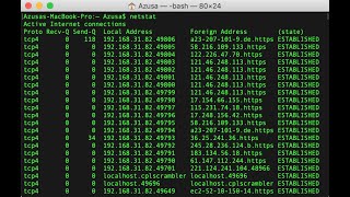 Check All the Active Connections with NETSTAT [upl. by Enyedy]