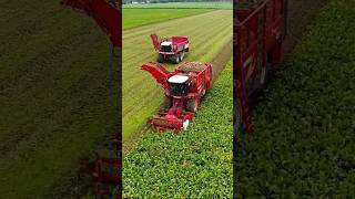 Vervaet Agrifac 😎😎 agriculture farming tractor landwirtschaft agro FlyingPixelsPhotography [upl. by Sherry]