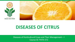 Diseases of Citrus  Phytophthora Gummosis  By AP MEGA SEED PARK [upl. by Brear159]