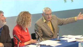 Lisbon Treaty Debate 2009 [upl. by Ailegnave]