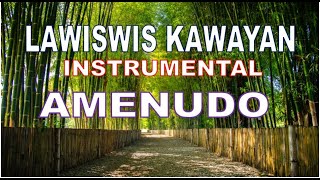 LAWISWIS KAWAYAN INTRUMENTAL AMENUDO  WARAY MUSIC [upl. by Kerwin543]