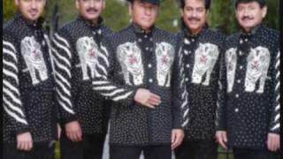 Los tigres del norte La mesa del rincón Lyrics [upl. by Sherburn]