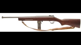 Shooting The Rare Reising Model 60 World War 2 Rifle  HampR 45 ACP [upl. by Iznek]