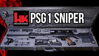 HampK PSG1 Sniper Rifle Overview [upl. by Berton]