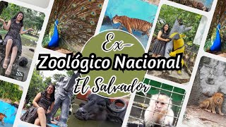 ZOOLÓGICO NACIONAL DE EL SALVADOR 🇸🇻 [upl. by Iliram]