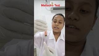 Molischs TestHelix BiolabBiochemistry Practical shorts [upl. by Yehus]