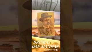 Leitura🎤quotBRUMAS DAS MANHÃSquot  CESÁRIO VERDE [upl. by Nosnehpets]