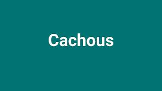 Cachous Meaning and Pronunciation [upl. by Retxed]