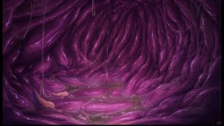 Tummy Rumbles Inside Stomach Audio ASMR Digestion with Heartbeat [upl. by Atrebor]