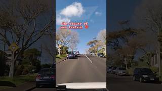 The beauty of New Zealand ❤️ dailyvlog shorts newzealand garganfamily [upl. by Sergius]