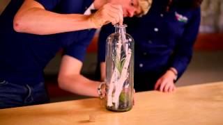 Build a Terrarium Using an Apothecary Bottle [upl. by Elyrehc32]