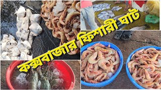 কক্সবাজার ফিশারী ঘাটে কি অদ্ভুত মাছ দেখলাম Cox’s bazar fishery ghat shabib fypシ゚viral coxsbazar [upl. by Natsrik696]