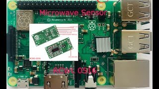 Microwave Radar Sensor  RCWL 0516 Raspberrypi [upl. by Zeidman]