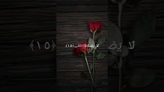 سورة الليل من 13 الي 17 مصر القران quotes دويتو recitation اكسبلورر اكسبلور راحةنفسية لايك [upl. by Debbra]