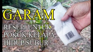 GARAMResepi Untuk Pokok Kelapa Hidup Subur [upl. by Kifar]