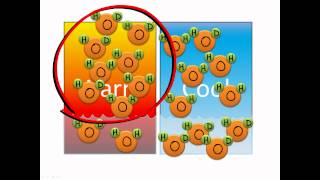 Isotope fractionation [upl. by Suehtomit]