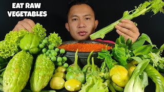 ASMR MUKBANG  EATING RAW VEGETABLES WITHOUT RICE [upl. by Nilra]