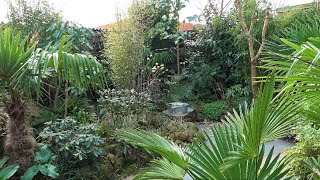 Early Spring Flowers amp Foliage in our Tropical Garden incl some plant names [upl. by Zweig899]