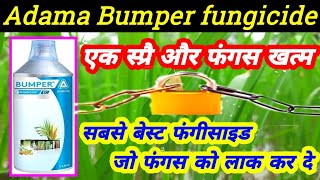 adama bumper fungicidePropiconazole25� bumper fungicide price dose work result hukeshpradhan [upl. by Napoleon]