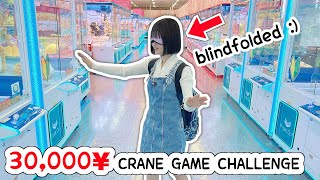 30000 YEN CRANE GAME CHALLENGE in Japan [upl. by Erving]