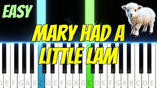 Learn Mary Had a Little Lamb on Piano Easily Synthesiastyle [upl. by Lleuqram]