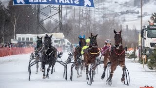 Pferderennen im Schnee in Matrei [upl. by Htebazle]