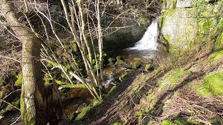 nameless waterfall walk 2024 [upl. by Meesan]