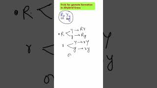 ShorttrickGamete formation in dihybrid crossheterozygous plantNeetncertbiology [upl. by Hteik637]