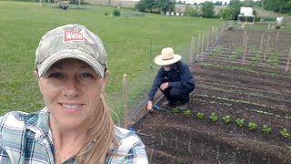 Installing a Drip Irrigation System in our Vegetable Garden step by step instructions [upl. by Ahsiat]