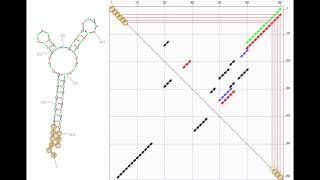 Understanding RNA folding energy dotplots [upl. by Jane]