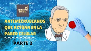 Antimicrobianos que actuan en la pared celular parte 2 [upl. by Adnah]