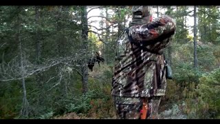 Chasse à lorignal en Abitibi avec Stéphane Monette [upl. by Feingold]