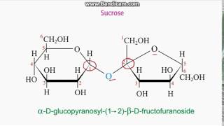 Identifying anomeric carbons in sugars [upl. by Malvia]